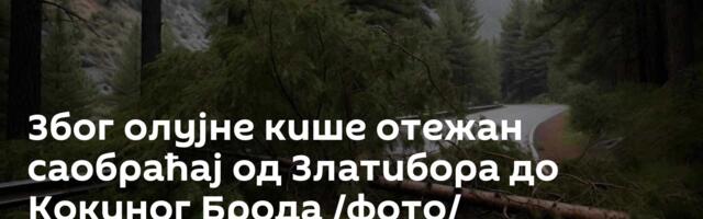 Због олујне кише отежан саобраћај од Златибора до Кокиног Брода /фото/