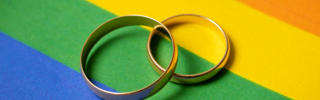 Zakon o istopolnim zajednicama – zašto ne legalizovati i usvajanje dece?