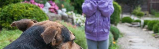 Kako da pomognete svom detetu da prevaziđe strah od pasa?