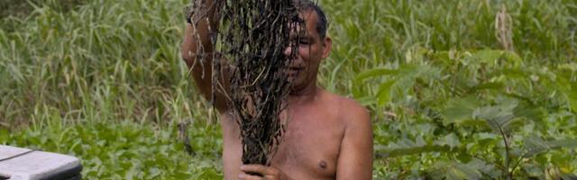 Pecanje u smrdljivoj i masnoj vodi: Šta je sve uradio kolumbijski naftni gigant