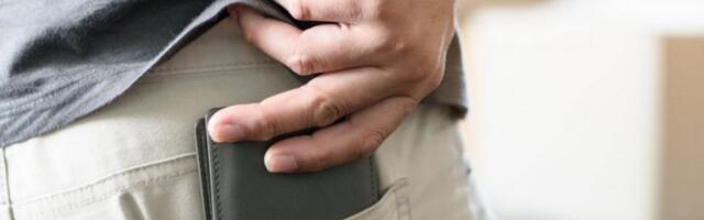 SAMO OVAKO MOGU DA NAUČE NEŠTO: Ko bude javno prikazivao NACISTIČKE simbole, evo KOLIKU ĆE KAZNU PLATITI