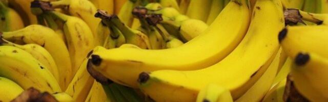 DROGA U BANANAMA: U nemačkim samoposlugama pronađeno skoro stotinu kilograma kokaina