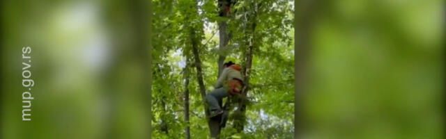 VOZAČA PARAGLAJDERA IZVLAČILI SPASIOCI, PAO U KROŠNJU DRVETA NA VISINI OD 15 METARA Drama na nebu iznad Čačka (FOTO)