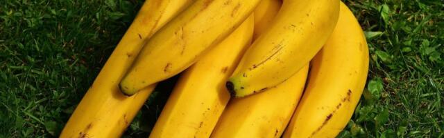 Ova zabluda o bananama može ugroziti vaše zdravlje