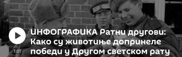 ИНФОГРАФИКА Ратни другови: Како су животиње допринеле победи у Другом светском рату