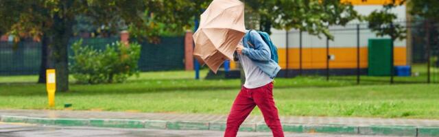 RHMZ - Vreme danas (7. jul) u Srbiji: Oblačno sa kišom, a krajem dana u ovom delu zemlje pljuskovi, temperature do 32 stepena