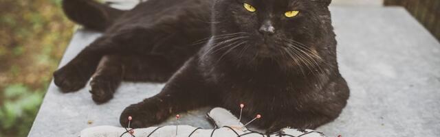 "Ako vam ispadne nož..": Šta donosi zlo, šta sreću