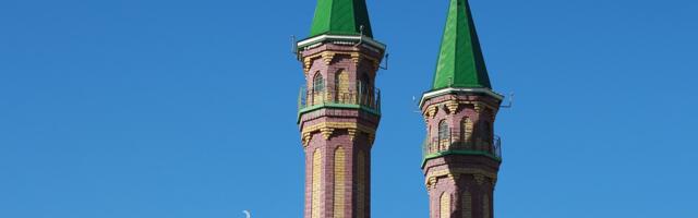 Eksplodirala naprava postavljena džamiji, ima žrtava i povređenih