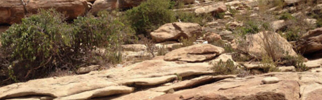 Зашто је Израел признао Сомалиленд