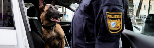 Доживотна казна за Србина због  убиства немачког пензионера