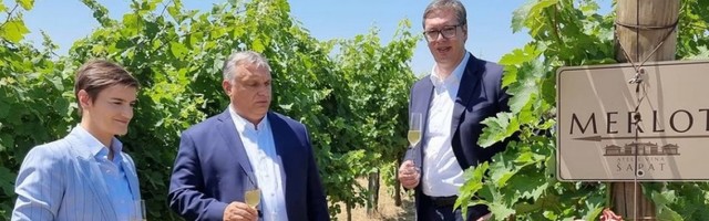 POSLE OZBILJNIH RAZGOVORA, VREME JE ZA OPUŠTANJE! Vučić i Orban u šetnji vinogradom uživaju u dobrom vinu!
