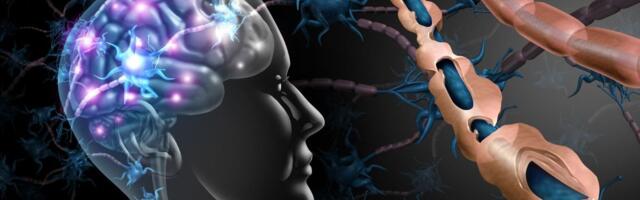 U Srbiji oko 9.000 ljudi boluje od multiple skleroze: Ključna podrška porodice