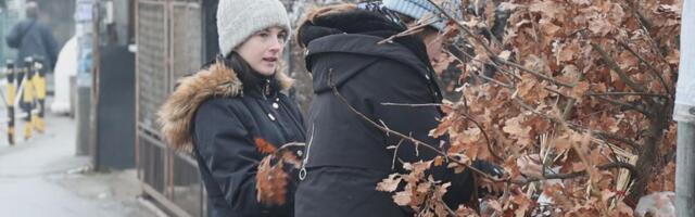 DIRLJIVA PRIČA IZ KRUŠEVCA UOČI BOŽIĆA: Tri sestrice izgubile su majku s kojom su svake godine prodavale badnjake - evo šta su sada ODLUČILE DA URADE (FOTO)