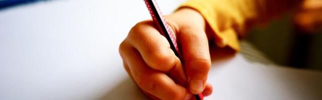 Škola u Kovinu nebezbedna za đake: Naprsli zidovi i plafoni, roditelji zabrinuti