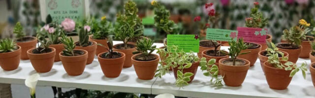 Производи из српских затвора десети пут на Сајму хортикултуре