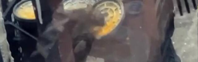PACOV JURCAO PO PRLJAVOJ KUHINJI Inspekcija u restoranu ugladala JEZIV prizor! Gosti sami sipali viski, radnica spavala pod ćebetom! Pobegli na ZADNJI izlaz