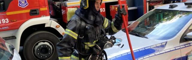 Veliki požar kod Kladova! Vatra guta sve pred sobom: Vatrogasci na terenu, u pomoć priskočili i meštani