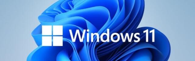 Windows pod punom kontrolom