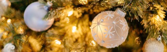 Praznična čarolija u Tavankutu: Marinkova kuća postala Instagram senzacija, evo i zašto