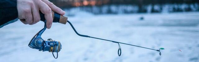 ‘Majstore, je l’ grize?’