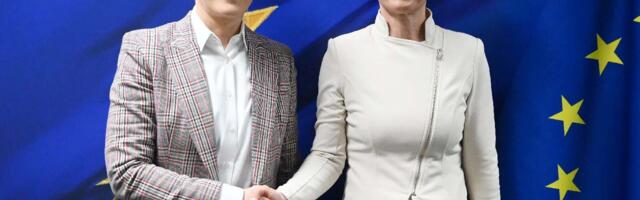 Kos i Kopman preneli Brnabić zabrinutost zbog pravosudnih zakona