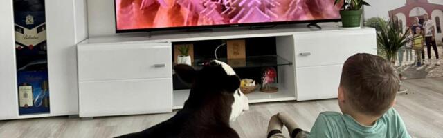 TELENCE SA DECOM GLEDA CRTAĆE! Nestvarno lepa slika iz doma Tamare Garović: Slabašno i smrznuto iz štale ga uneli u kuću, sada je im je ljubimac i maza (FOTO)