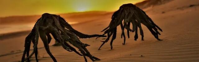 Čovek u Južnoj Africi izazvao haos na internetu sa svojim čudnim okeanskim 'stvorenjima'