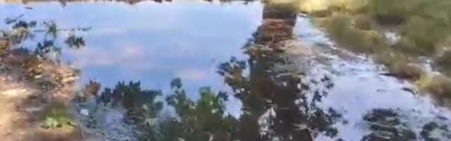 U Mladenovcu voda curila više od 50 sati, posle popravke nastala POPLAVA (VIDEO)