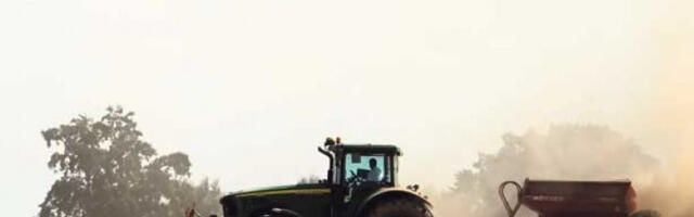 Сетва пшенице при крају