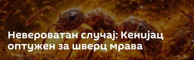 Невероватан случај: Кенијац оптужен за шверц мрава