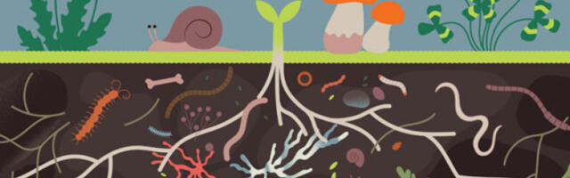 Тај­ни жи­вот земљишта