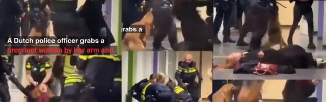 Policija u EU nema milosti! Jezive scene prebijanja trudnice, na muža pustili policijske pse (VIDEO)