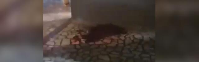 Члан обезбеђења ноћног клуба у Прибоју избоден ножем, нападач и даље у бекству