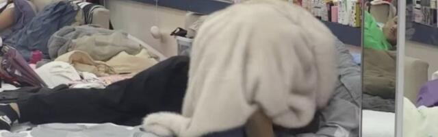 NA KRAJU ZAVRŠILI U KREVETU! Aneli i Asmin obnovili romansu, ovo što su uradili sve je ostavilo bez teksta!