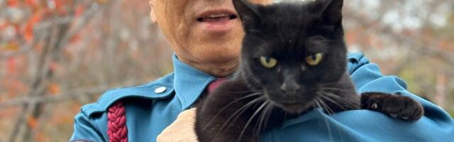 Ken-čanov poslednji pozdrav: Muzej u Japanu objavio kalendar u znak sećanja na legendarnog crnog mačka