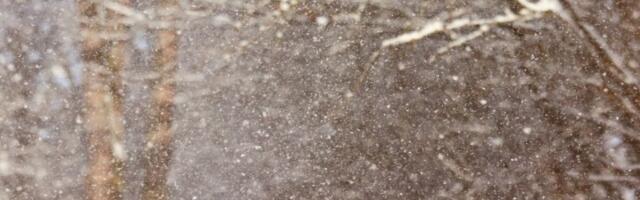 Sledi nam LEDENI HAOS: Tačno ovog datuma sve se menja, stiže i SNEG