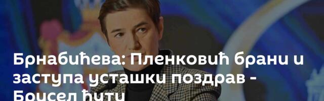 Брнабићева: Пленковић брани и заступа усташки поздрав - Брисел ћути