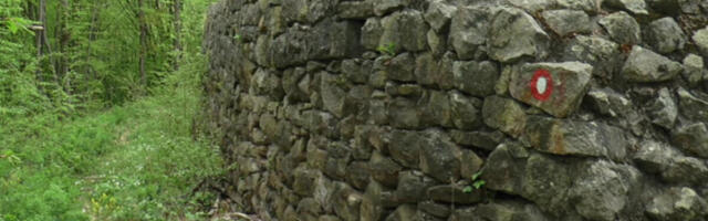 Srbi pronašli ćup sa blagom u njivi, a onda je usledio šok: Ovo samo mi možemo, zauvek sirotinja pa to ti je...