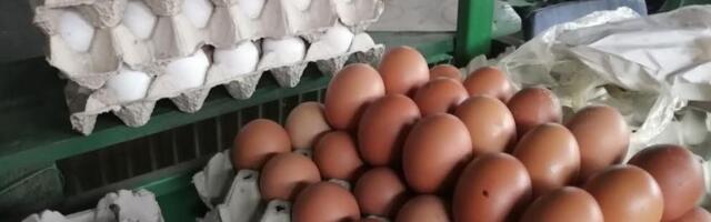 Koja je razlika između smeđih i belih jaja? Pitanje pred Uskrs pokrenulo raspravu, a ovo je jedini pravi odgovor