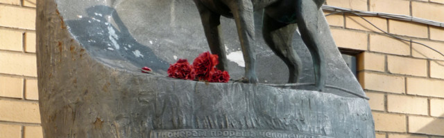 Potresne činjenice o Lajki, prvom psu u svemiru!