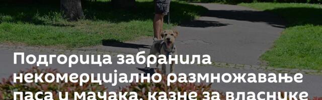 Подгорица забранила некомерцијално размножавање паса и мачака, казне за власнике до 5.000 евра