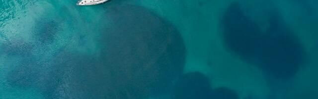 Grčka testira ekološka sidra za očuvanje morske trave u Mediteranu