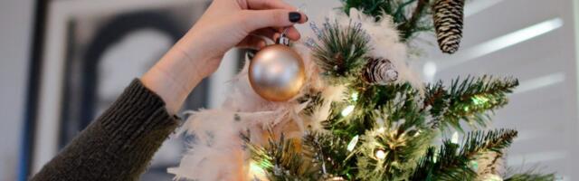 Hina: Messages of peace and tolerance at SNV reception for Orthodox Christmas