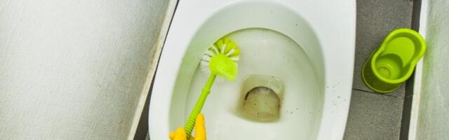 Jeftin kućni trik za 30 dinara briše kamenac iz WC-šolje bez ribanja