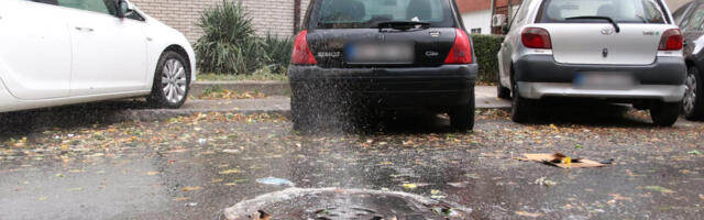 JASMINA JE IZ ŠAHTA U LESKOVCU ČULA ČUDAN ZVUK, PA UGLEDALA NJEGA! Njena hitna rekacija spasila ga SIGURNE SMRTI!