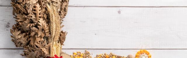 Položajnici ovo MORAJU DA ZNAJU: Evo šta sve treba da urade i izgovore za Božić