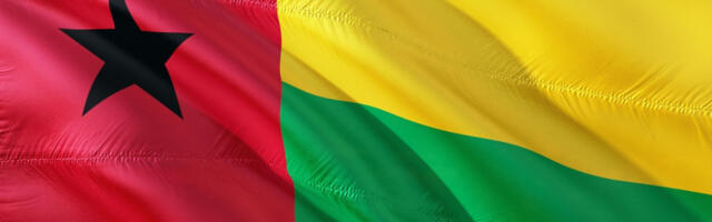 Власти Гвинеје донеле одлуку о распуштању 40 политичких партија