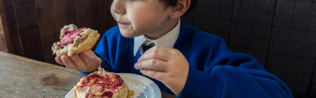 Voćna torta za 20 minuta