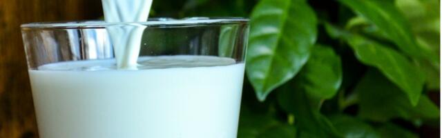 Srpski preduzetnici preuzimaju regionalnog lidera mlečne industrije – Imlek