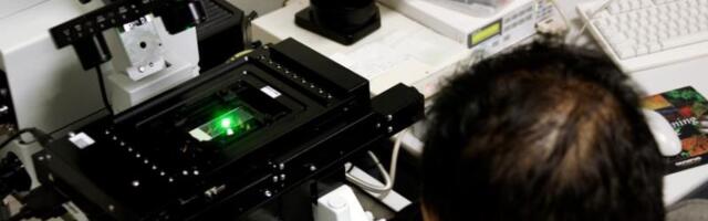 Milijarderi finansiraju zastrašujući projekat: Stvaraju ljudska tela bez mozgova za rezervne organe